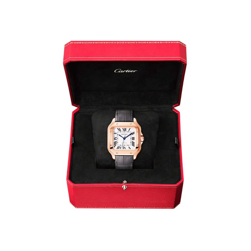 C S de C Large Automatic