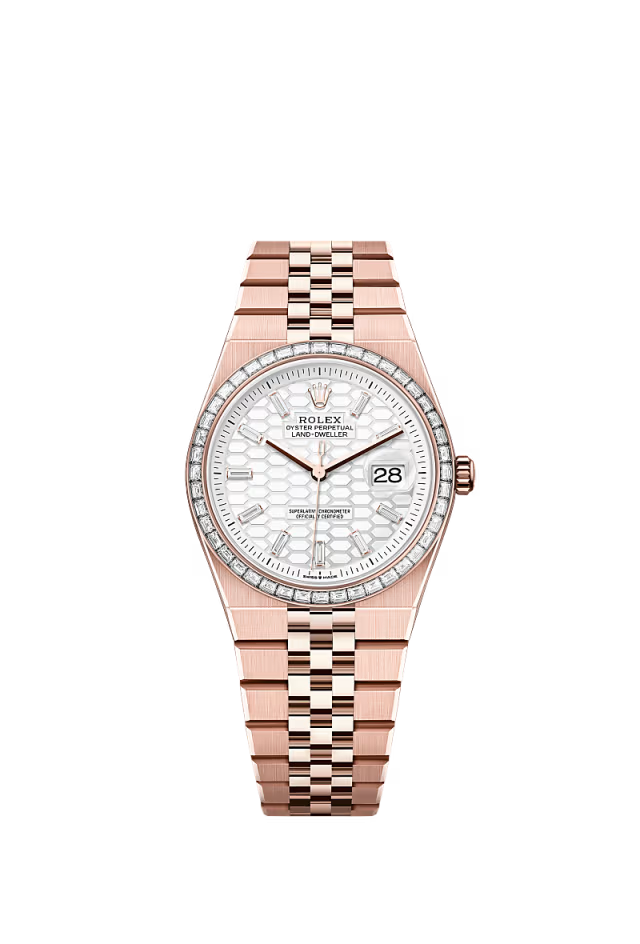 RL Land-Dweller 36 Oyster, 36 mm, Everose gold and diamonds Reference 127285TBR