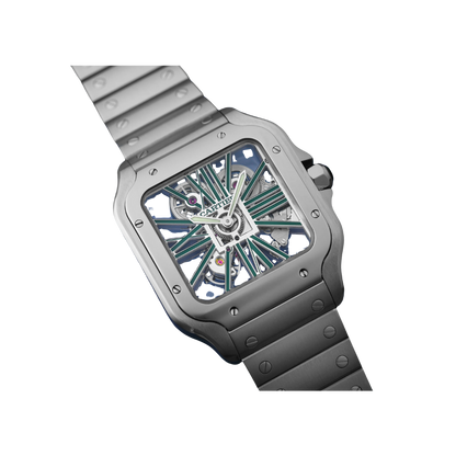 S de C Large Skeleton/Green