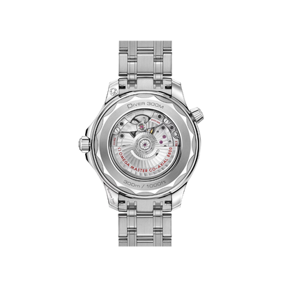 O Seamaster Ref# 210.30.42.20.06.001