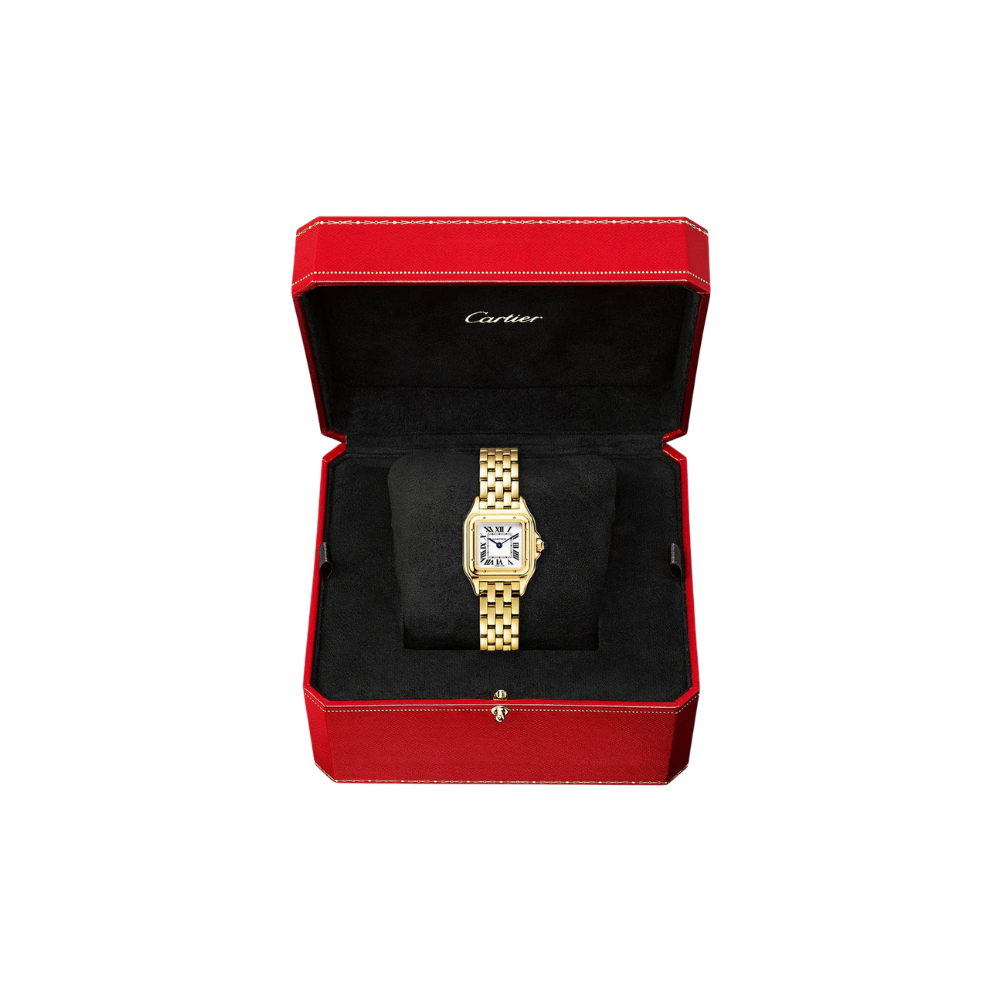 C Panthere de C W2PN0006