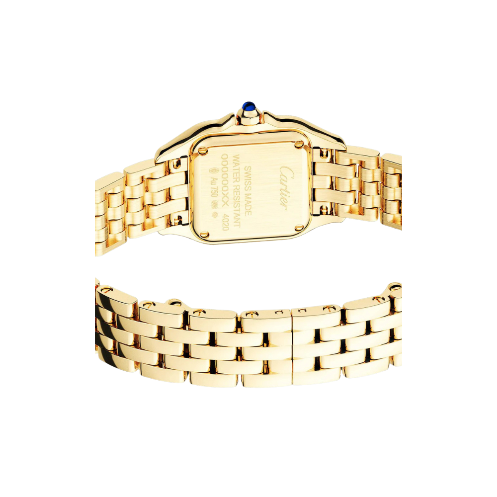 C Panthere de C W2PN0006