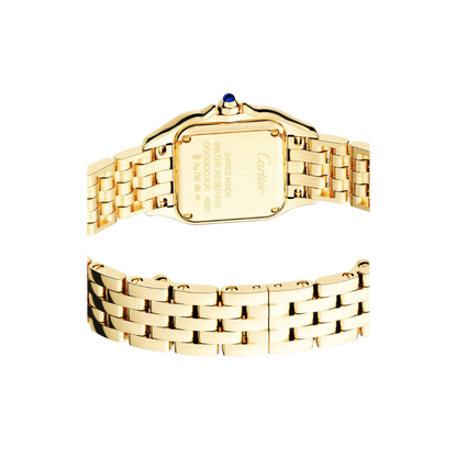 C Panthere de C W2PN0006