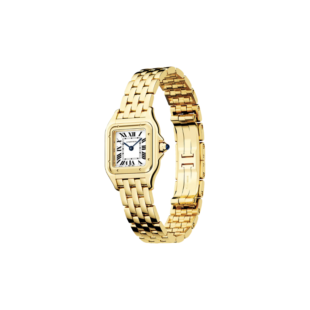 C Panthere de C W2PN0006