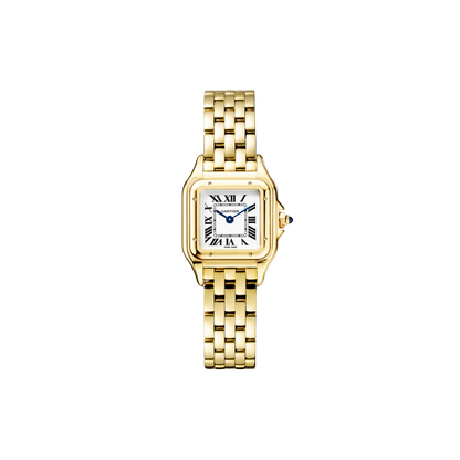 C Panthere de C W2PN0006