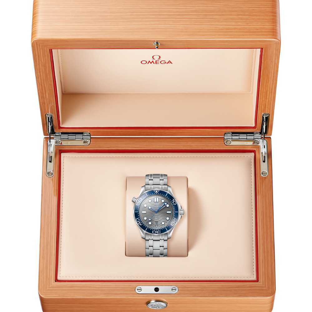 O Seamaster Ref# 210.30.42.20.06.001