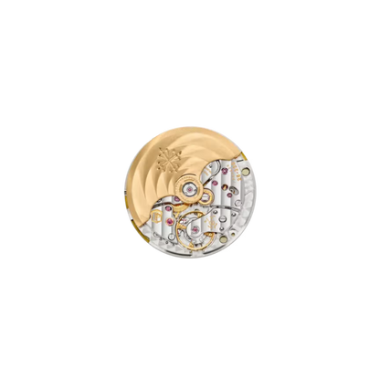 PP Aquanaut Luce Automatic Diamond Brown Dial Ladies Watch 5068R-001