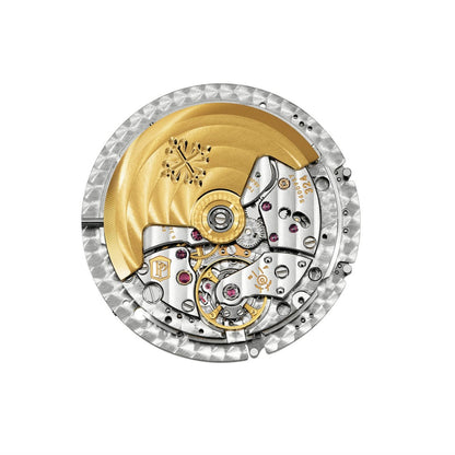 PP Men's Watch 5164A-001