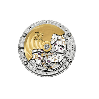 PP Complications Automatic Men's Watch 5205R-010