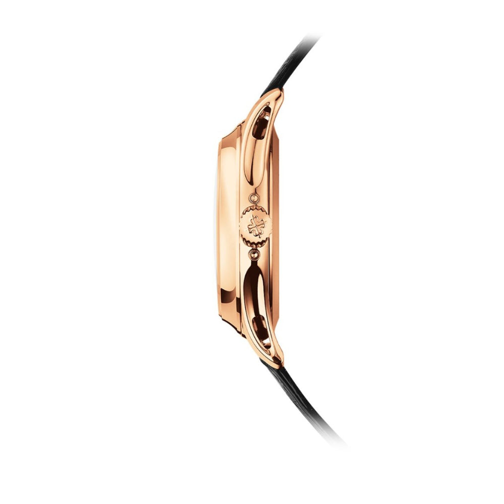 PP Complications Automatic Men's Watch 5205R-010