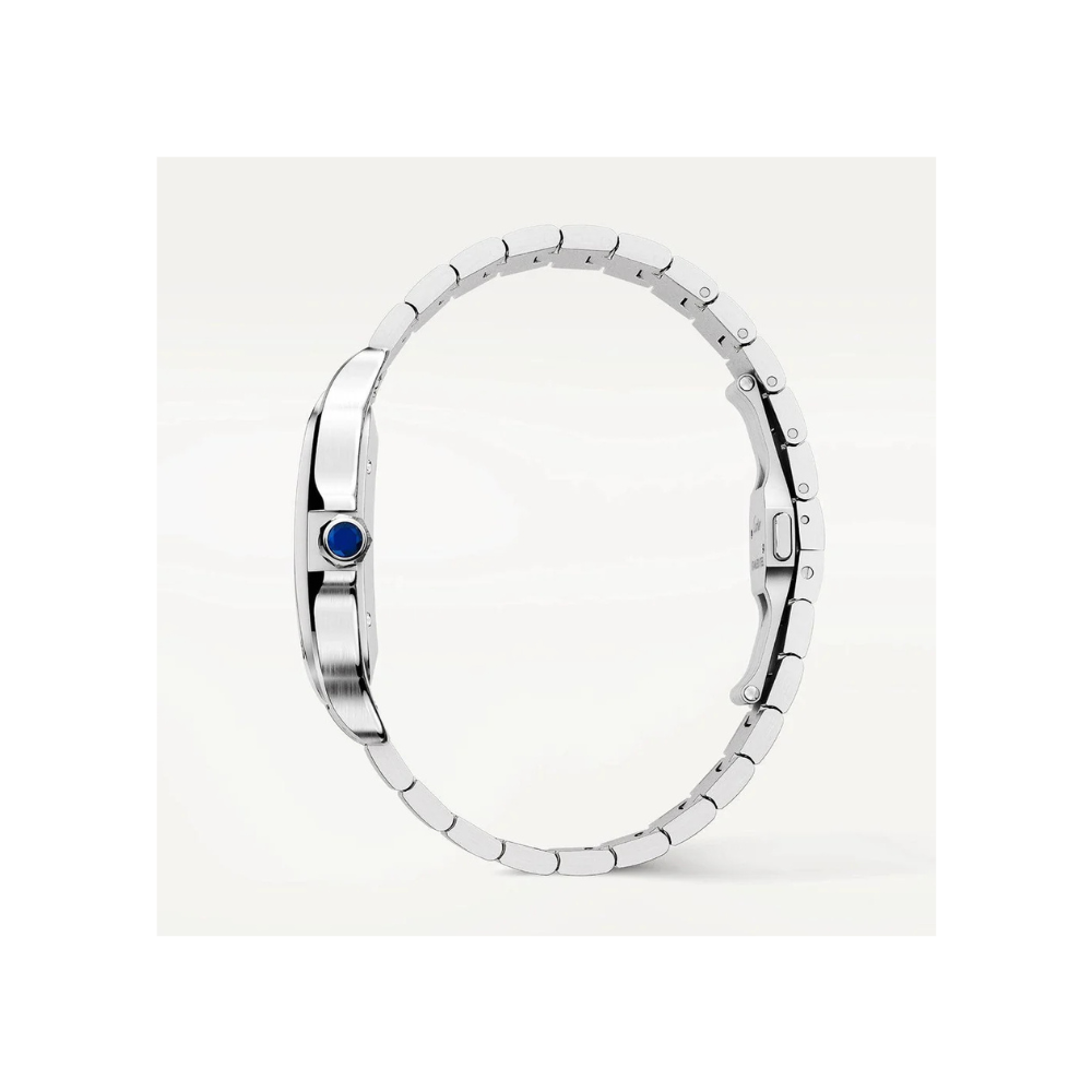 S de C Large Steel watch