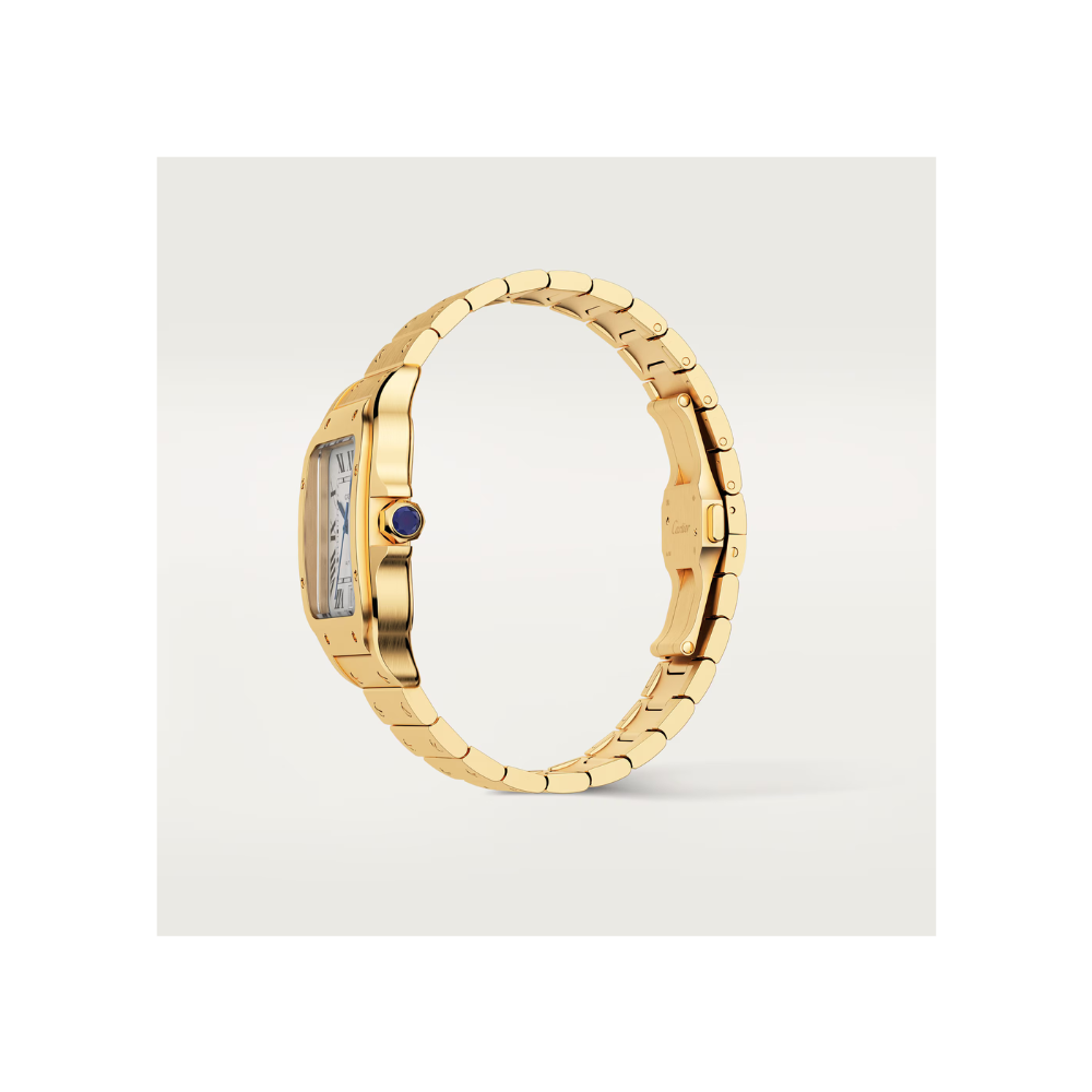 S de C Large Automatic Watch