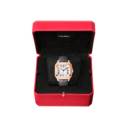 C S de C Large Automatic