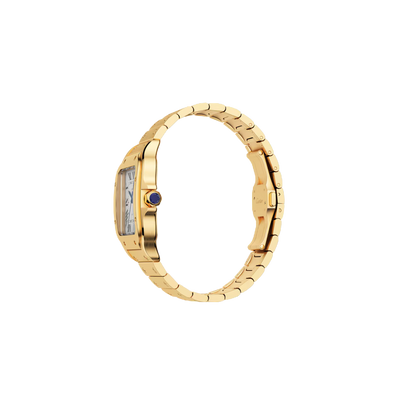 S de C Large Yellow Gold – Brown Dial