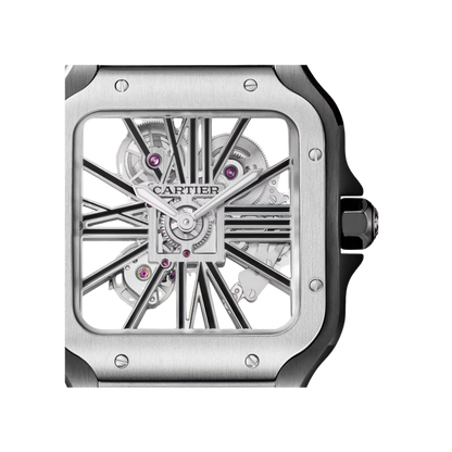 S de C Large Skeleton ADLC